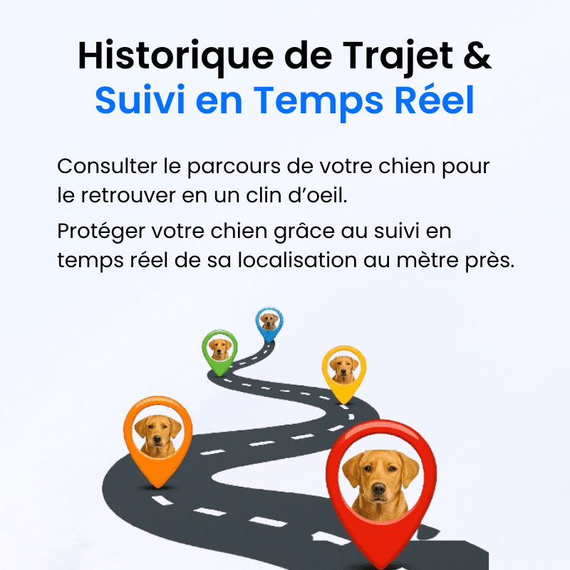 Traceur GPS pour Chien Sans Abonnement-Novatechsun