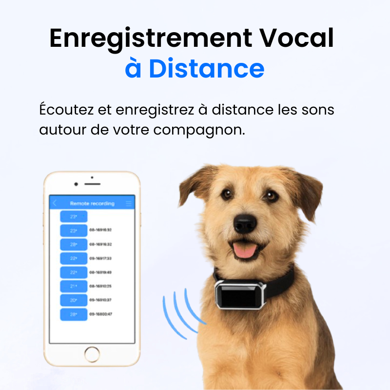 Traceur GPS pour Chien Sans Abonnement-Novatechsun