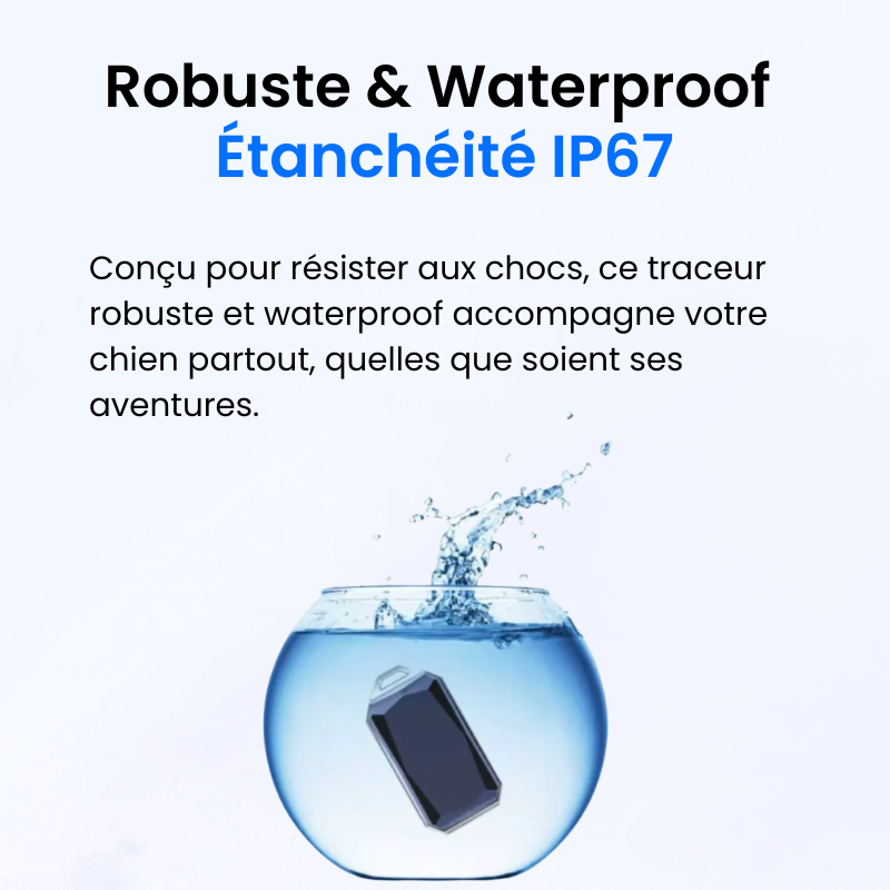 Traceur GPS pour Chien Sans Abonnement-Novatechsun