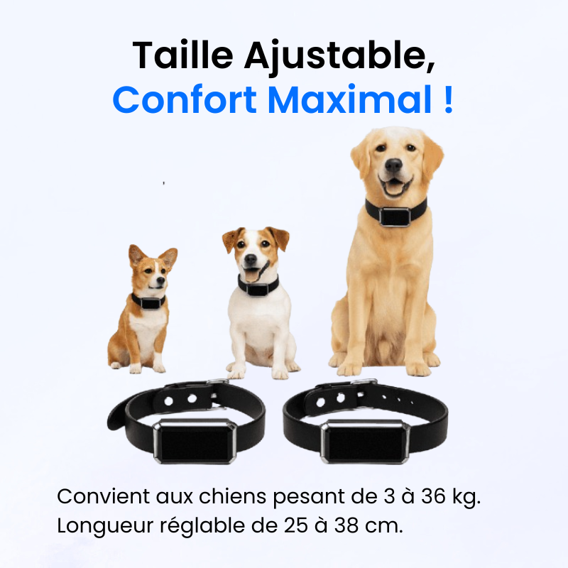 Traceur GPS pour Chien Sans Abonnement-Novatechsun