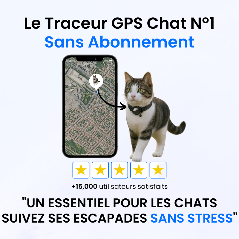 Traceur GPS pour Chat Sans Abonnement-Novatechsun