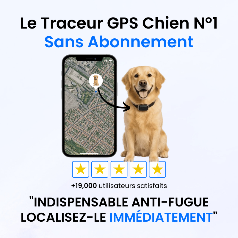 Traceur GPS pour Chien Sans Abonnement-Novatechsun