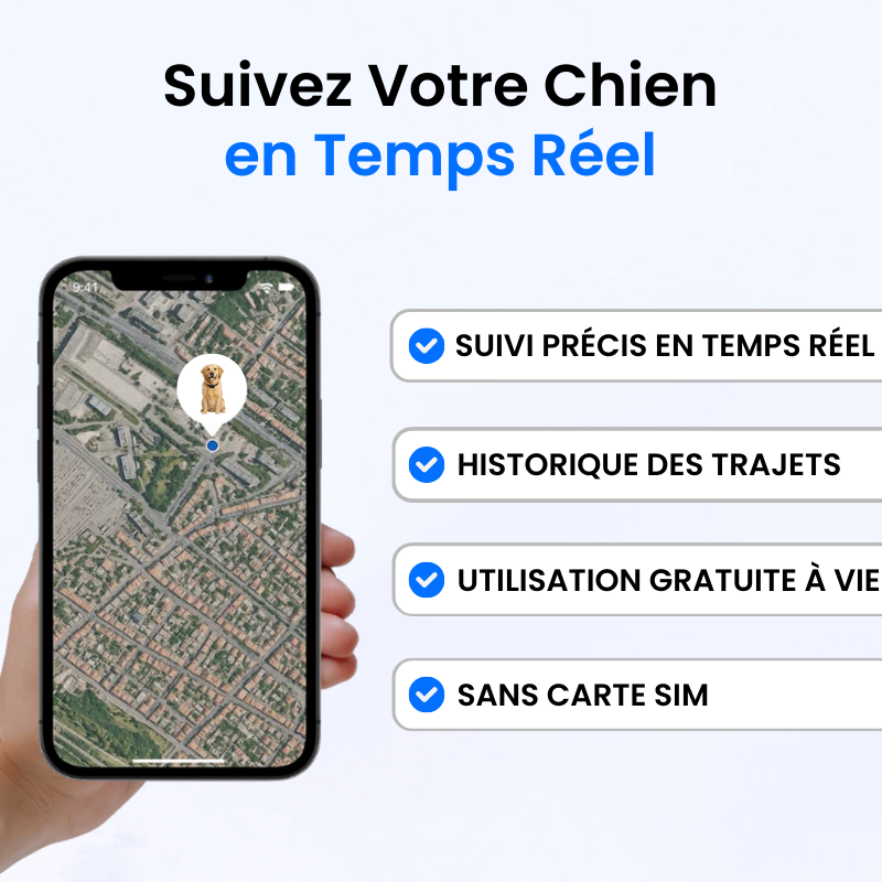 Traceur GPS pour Chien Sans Abonnement-Novatechsun