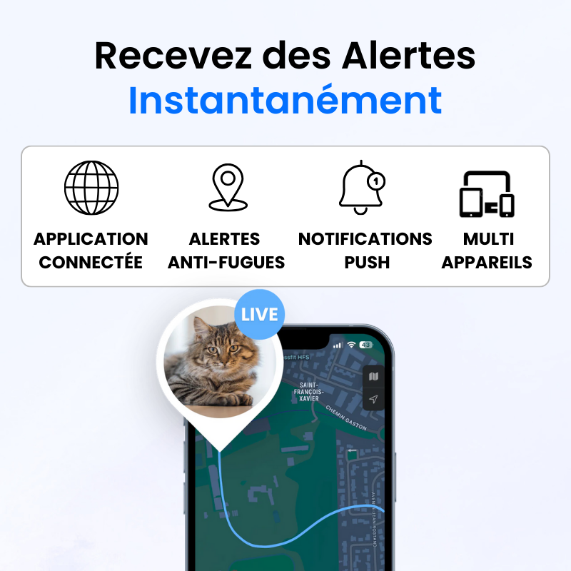 Traceur GPS pour Chat Sans Abonnement-Novatechsun