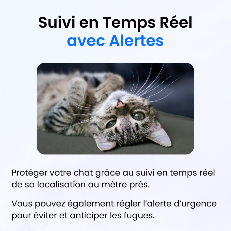 Traceur GPS pour Chat Sans Abonnement-Novatechsun