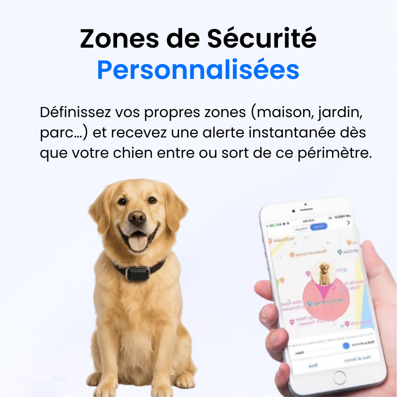 Traceur GPS pour Chien Sans Abonnement-Novatechsun