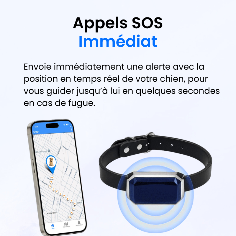 Traceur GPS pour Chien Sans Abonnement-Novatechsun