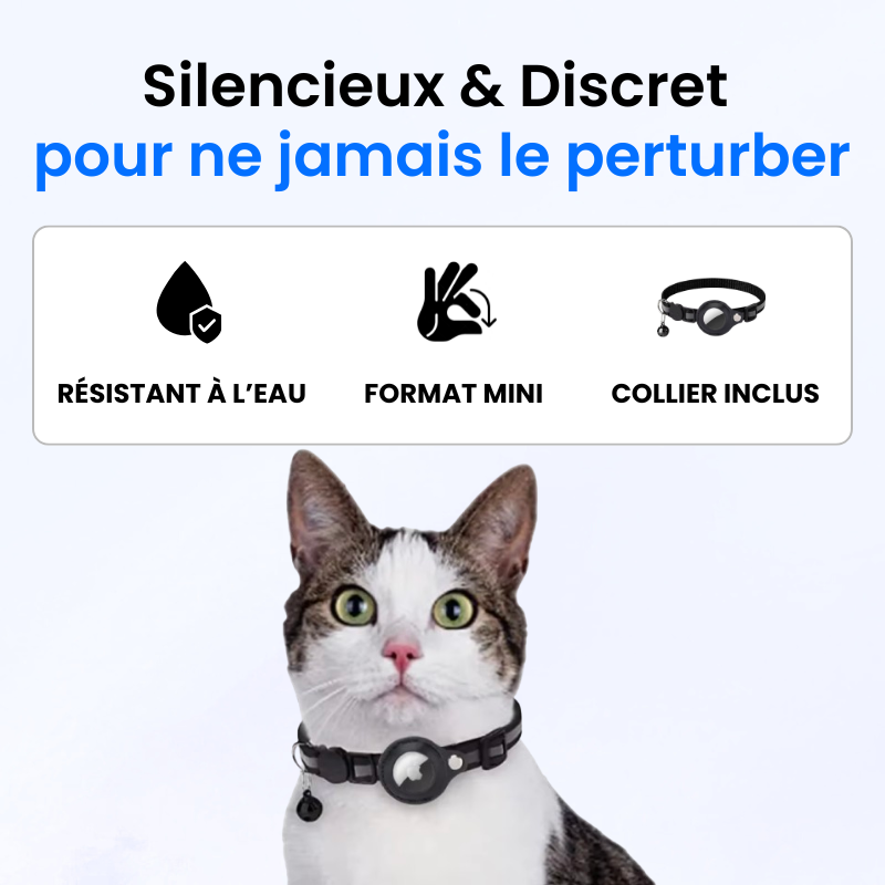 Traceur GPS pour Chat Sans Abonnement-Novatechsun